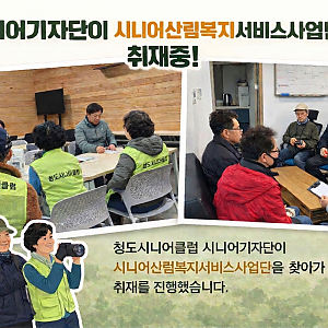[청도시니어클럽 시니어기자단사업단] 자연 속에서 찾는 제2의 활력! 청도시니어클럽 어르신들의 산림복지 일자리…